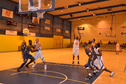 sapela_arles1.jpg