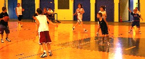 minispurs
